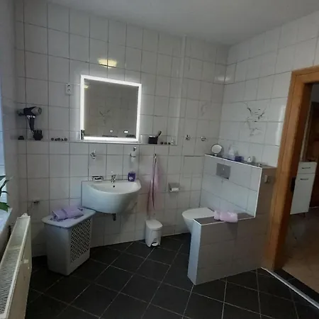 公寓 Auszeit Vom Alltag 开姆尼茨